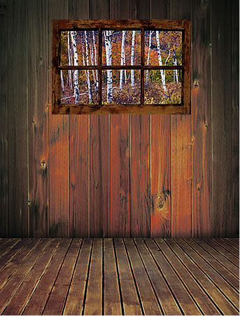 Birch Forest Window Peel & Stick Wall Mural