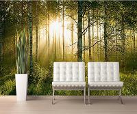 Sunlight Forest Mural PR1855 8055 Roomsetting