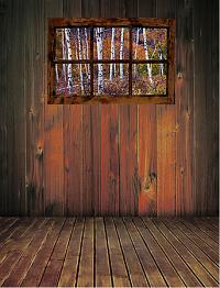Birch Forest Window Peel & Stick Wall Mural