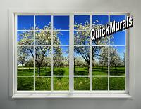 Orchard Window