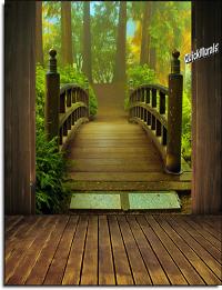 Enchanted Forest Wall Mural Roomsetting