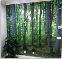 Woodland Forest Peel and Stick Wall Mural Roomsetting