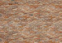 Brick Wall Mural 8-741