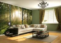 Sunlight Forest Mural PR1855 8055 Roomsetting