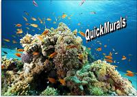 Coral Reef Peel and Stick Wall Mural 