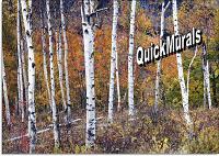 Birch Forest Peel and Stick Wall Mural 