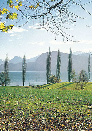 Mountain Landscape Mural 1498