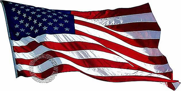 USA Flag Mural