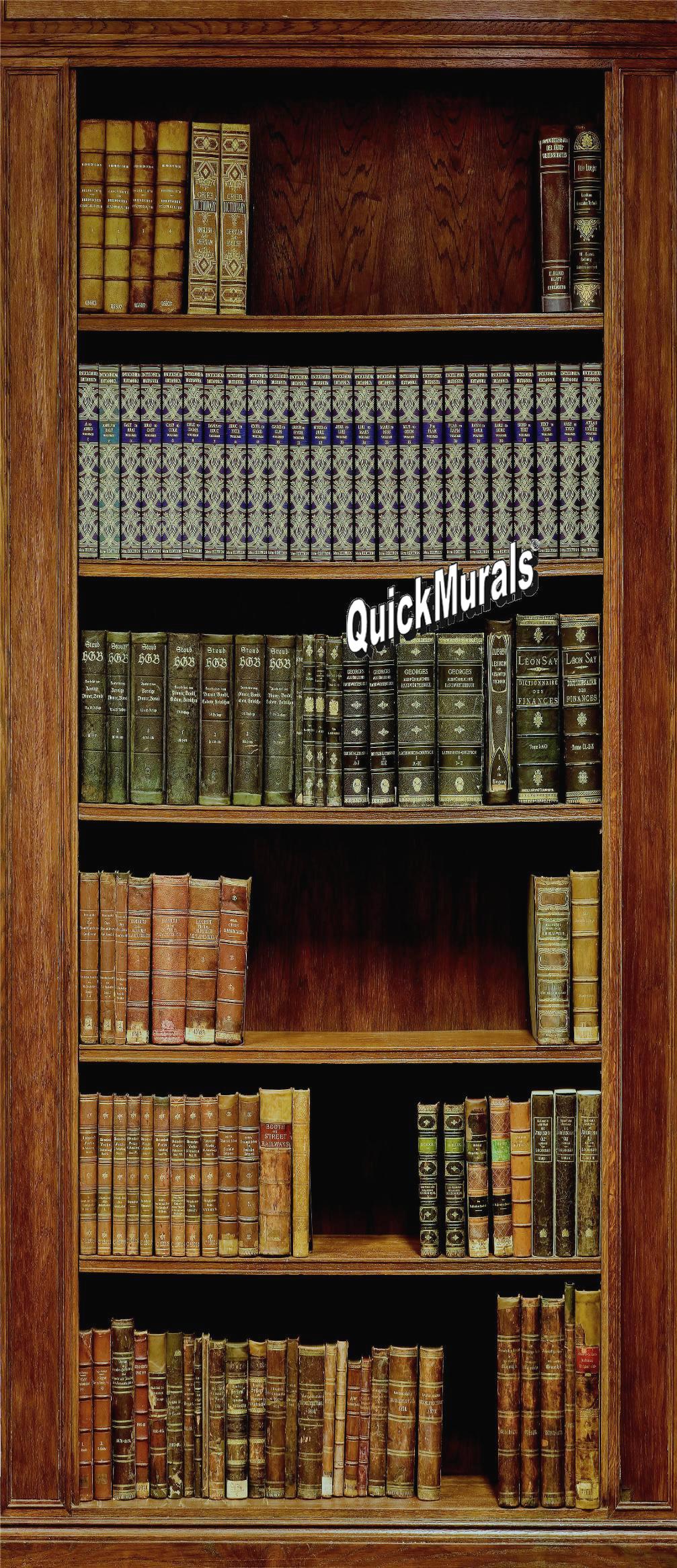 Library Wall Mural by QuickMurals