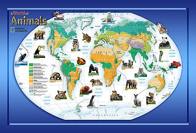 A World Of Animals Wall Map Mural NG94614