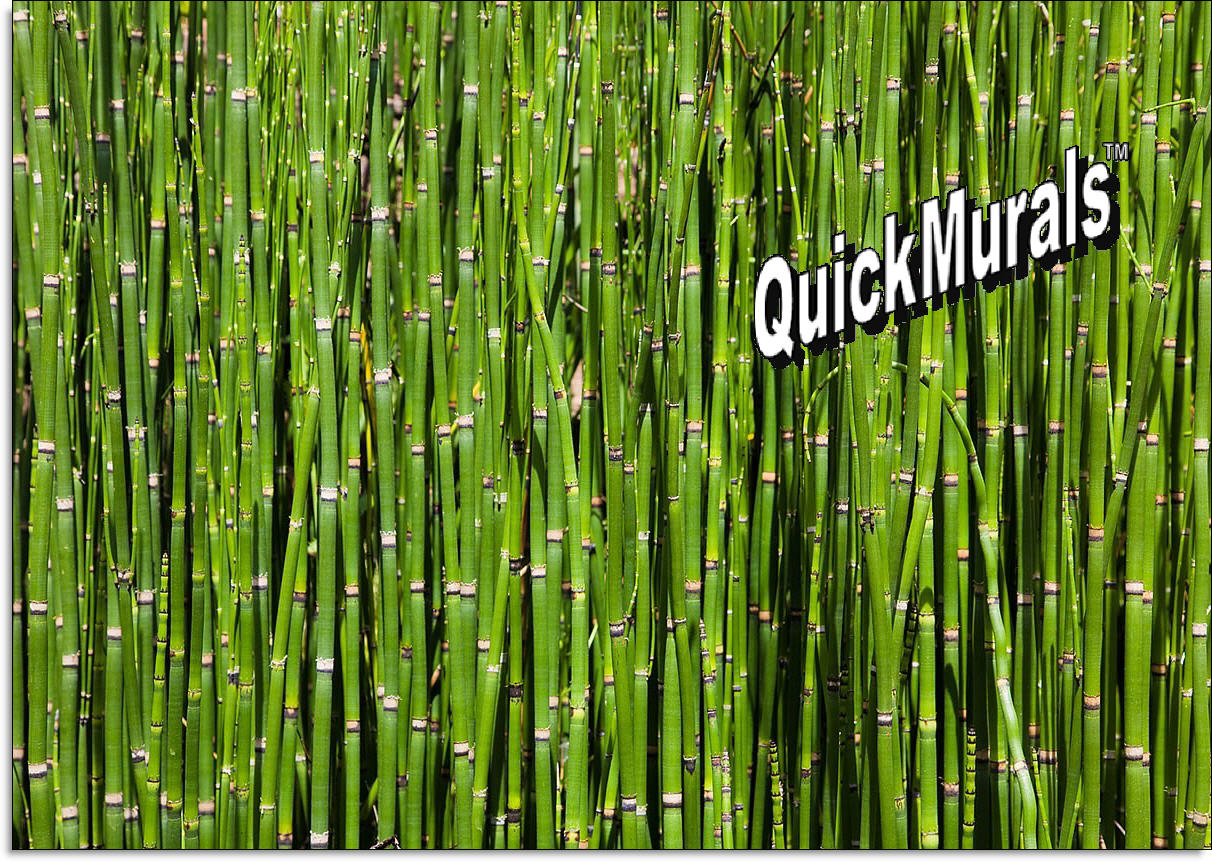 Bamboo Backround Peel and Stick Wall Mural