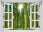 Morning Forest Window 1-Piece Peel & Stick Mural