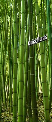 Bamboo Grove 1-piece Peel & Stick Door Mural by QuickMurals